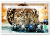 Планшет - телефон Hoozo S 464 LTE Gold 4GB/64GB IPS 10.1'' + Чехол-клавиатура Планшет - телефон Hoozo S 464 LTE Gold 4GB/64GB IPS 10.1'' + Чехол-клавиатура