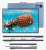 Планшет- телефон Adronix LTE Tab332 Blue 3/32 DUAL SIM 10.1" IPS Планшет- телефон Adronix LTE Tab332 Blue 3/32 DUAL SIM 10.1" IPS